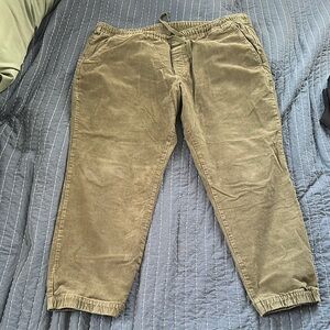Men's Olive Casual Pants